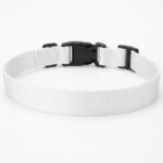 collier chien
