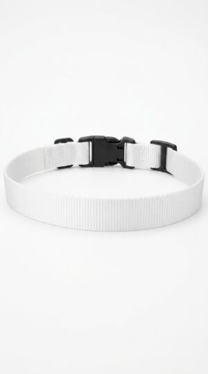 collier chien collier chien