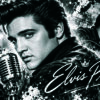 Elvis Composition panoramique noir et blanc d’Elvis Presley avec micro, guitare et décor rock’n’roll